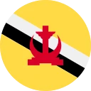 دلار برونئی (BND)