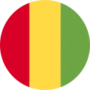 فرانک گینه (GNF)